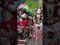 radha krishna blissful darshan isckon shorts radhakrishna