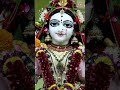 radha krishna blissful darshan isckon shorts radhakrishna