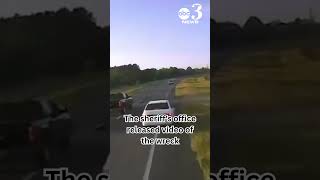 Chain reaction crash in Florida caused by driver stopping for turtle in road