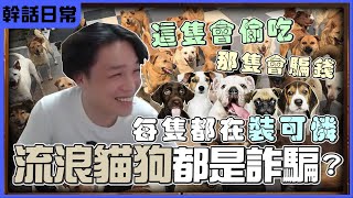 【羅傑】 流浪貓流浪狗都是詐騙? 中山區皇帝貓 沒罐頭不給拍照  士林轟狗亂偷吃  中山區狗王路過要給錢 @eason9898 ｜《爐石戰記HearthStone》｜Roger927