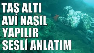 Zıpkınla Taş Altı Avı Nasıl Yapılır | Detaylı Çekim ve Sesli Anlatım | Zıpkın Avı Türkiye