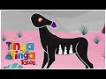 Zebras New Stripped Coat 🦓 | Tinga Tinga Tales Official | 1 Hour of Full Episodes