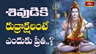 శివుడికి రుద్రాక్షలంటే ఎందుకు అంత ప్రీతీ..? | Dharma Sandehalu | Sri Bachampalli Santosh Kumar