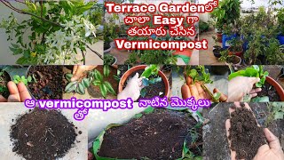 Easy Way To Make Vermicompost On Terrace Garden/మిద్దె తోటలో ఎంతో సులభంగా తయారు చేసిన వర్మీ కంపోస్టు