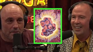 Doug Stanhope's DMT Experience