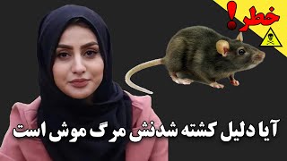 آیا دلیل کشته شدنش مرگ موش است ؟