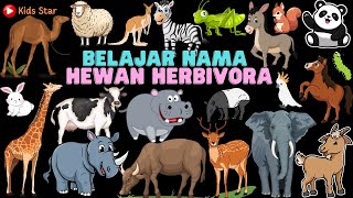 BELAJAR NAMA HEWAN PEMAKAN TUMBUHAN INDONESIA - INGGRIS | HERBIVORED ANIMALS NAME - HEWAN HERBIVORA