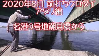 2020年8月　前打ち50オーバークロダイ　アタリ編　名港9号地潮見橋から(再アップ)