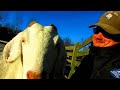 goatlog the big frosty 2017 01 16