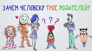 Зачем человеку трое родителей? — Научпок