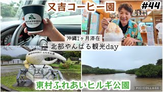 【#44】雨の沖縄北部やんばる観光！又吉コーヒー園でコーヒーかき氷！東村ふれあいヒルギ公園 大自然マングローブを眺めながら遊歩道を散策。沖縄旅行長期1ヶ月滞在day20