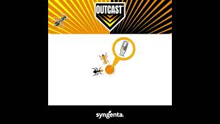 Outcast hangya csalétekállomás - hatásmechanizmus