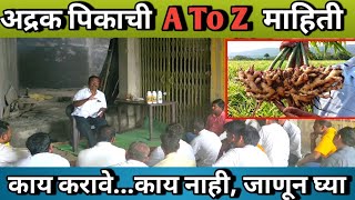 अद्रक(आले) पिकाची A To Z महिती | laxman kale