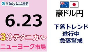 豪ドル/円見通し 「下落トレンド 進行中 、急落警戒」見通しズバリ！3分テクニカル分析 ニューヨーク市場の見通し　2023年6月23日