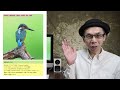 【高解像】野鳥撮影の作例・解説集「水辺の鳥 編」【kindle出版】