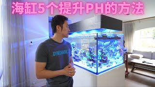 How to raise your reef tank PH in 5 easy ways!