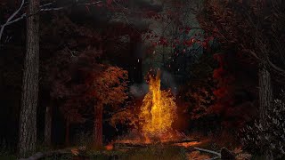 Samhain Fire Ritual in The Autumn Woodlands | Fire Ambience