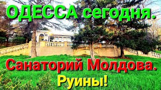 Санаторий Молдова. Одесса сегодня. Руины в городе. Гагаринское плато с высоты. Аркадия. #зоотроп