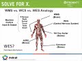 promat 2017 wms vs. wcs vs. wes