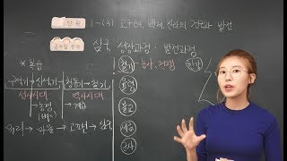 5학년 2학기 사회 1-(3) 고구려, 백제, 신라의 건국과정