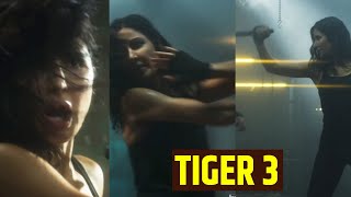 Katrina Kaif In Fire Mode In Salman Khan's Tiger 3 Teaser - Video