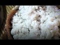 Cotton, weaving a better future together