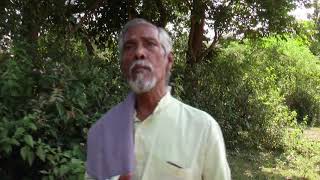 Jotobar Alo Jalate Chai  Tagore song by  ARDHENDU CHATTOPADHYAY