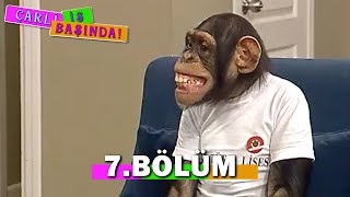 Çarli İş Başında 7. Bölüm - FULL BÖLÜM