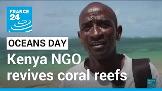 World Oceans Day 2022: Kenya programme revives coral reefs • FRANCE 24 English