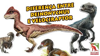 Qual a diferença entre um Velociraptor e um Deinonychus??