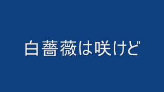 白薔薇は咲けど