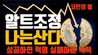 긴급! 비트코인 알트코인 조정 이유. 이런 '알트'를 쓸어담을려구요~ 왜?