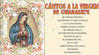 Canciones A La Virgen De Guadalupe 🙏 Virgen De Guadalupe💐Mariachi Cantares De Mexico La