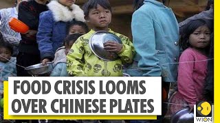 China's flood of woes | 2.3 million companies shut down | World News