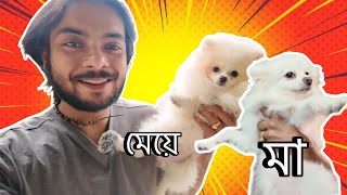 কিছু প্রশ্নের উত্তর 🙏#dog #pets #puppy #daily vlog