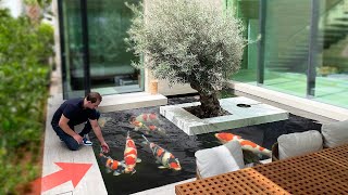 I visited this Amazing Koi Pond in a $25,000,000 House!