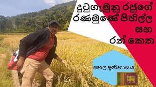 රණමුණේ පිහිල්ල / කෙත් යාය | Kotmale Ranamune