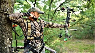 Top 7 Best Bow Under 1000 Dollars in 2023