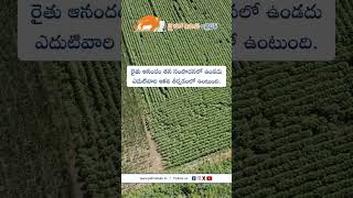 JHK Farmer Quote | Motivational quotes Telugu II Inspirational Quotes II Telugu Quotes | @JaiHoKisan