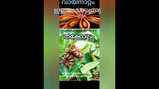 തക്കോലം, സന്ധിവാതം, വായ്നാറ്റംഇല്ലാതാക്കും ലൈഗികതാല്പര്യം ഉണർത്തുന്നു