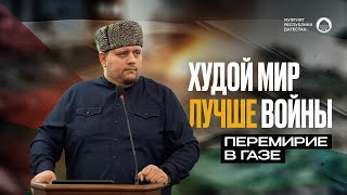 «ХУДОЙ МИР ЛУЧШЕ ВОЙНЫ» | Перемирие в Газе