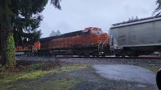 Northbound BNSF grain train at Winlock