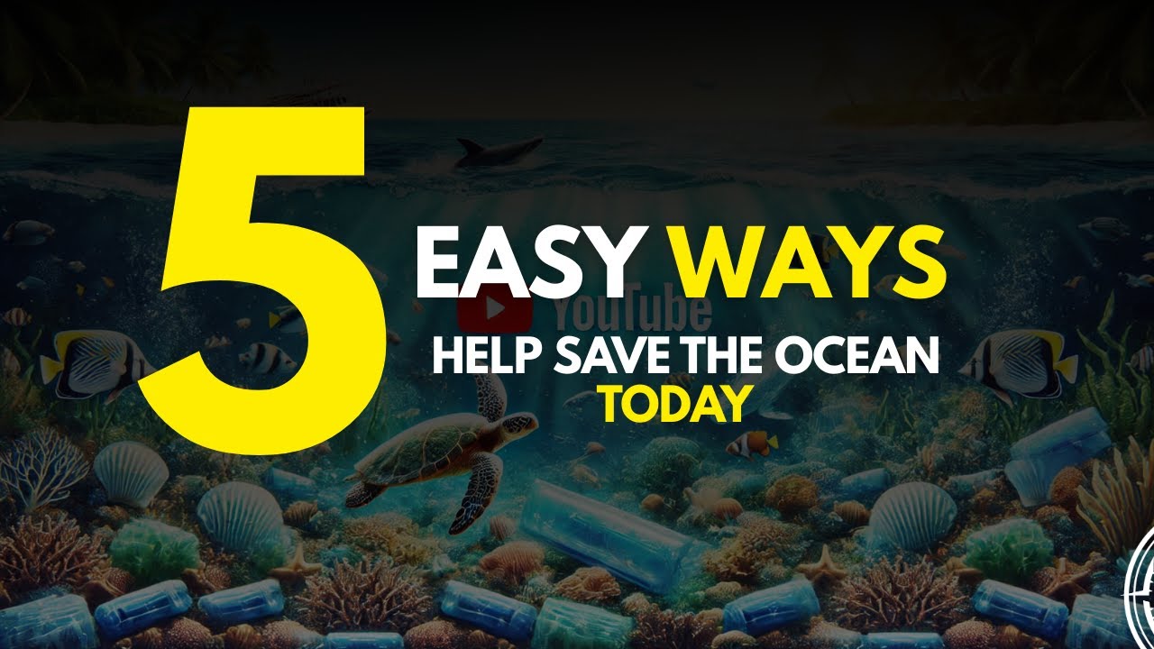 How You Can Get Involved In Ocean Conservation Youtube
