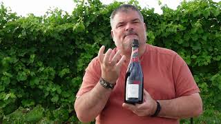 HAPPY 2025 - 13th Street Winery 2021 Gamay - Blanc de Noir (Ontario, Canada)