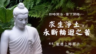 龍德上師：求生淨土，永斷輪迴之苦