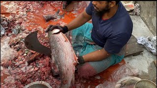 বড় মাছ কাটার পদ্ধতি | আজকে মাছের বাজার | মাছ কাটা ও পরিষ্কার | ঢাকা মাছের বাজার, 4K 60 FPS