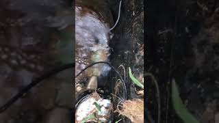 Uh oh! Water meter leaking.