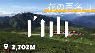 【日帰り登山】1分間で花の百名山 白山の絶景 おすすめ！ Amazing view from Mt. Hakusan in Ishikawa Japan