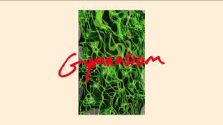 Pizzagirl - gymnasium (Official Audio)