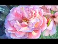 Evening Light Rose 🌹 Advanced Watercolor Tutorial